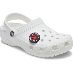NBA Toronto Raptors