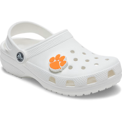 Clemson University