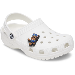 Paw Patrol Chase