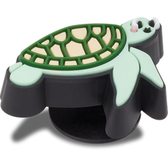 Tiny Sea Turtle