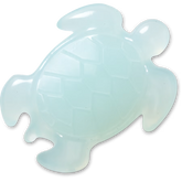 Light Blue Turtle
