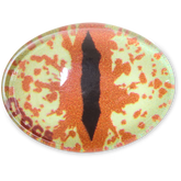 Hazel Animal Eye