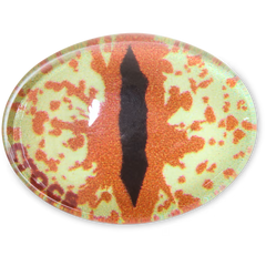 Hazel Animal Eye