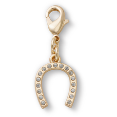 Horseshoe Charm
