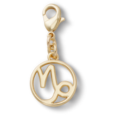 Capricorn Charm