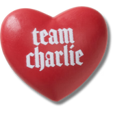 The Twilight Saga Team Charlie