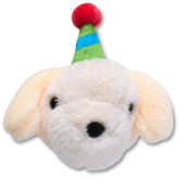 Record Your Own Sound Birthday