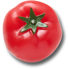 Realistic Tomato