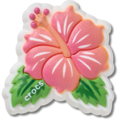 Blue Tropical Hibiscus