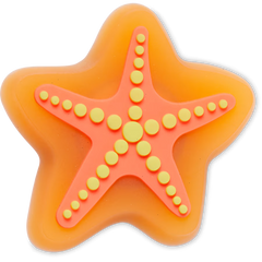 Lights Up Starfish