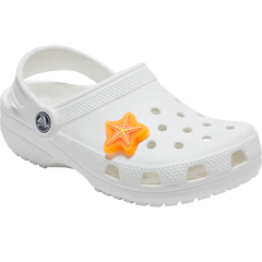 Lights Up Starfish