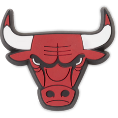 NBA Chicago Bulls