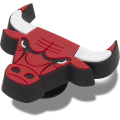 NBA Chicago Bulls