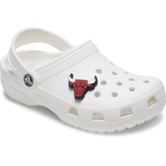 NBA Chicago Bulls