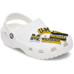 University of Michigan 5 Pack