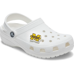 University of Michigan
