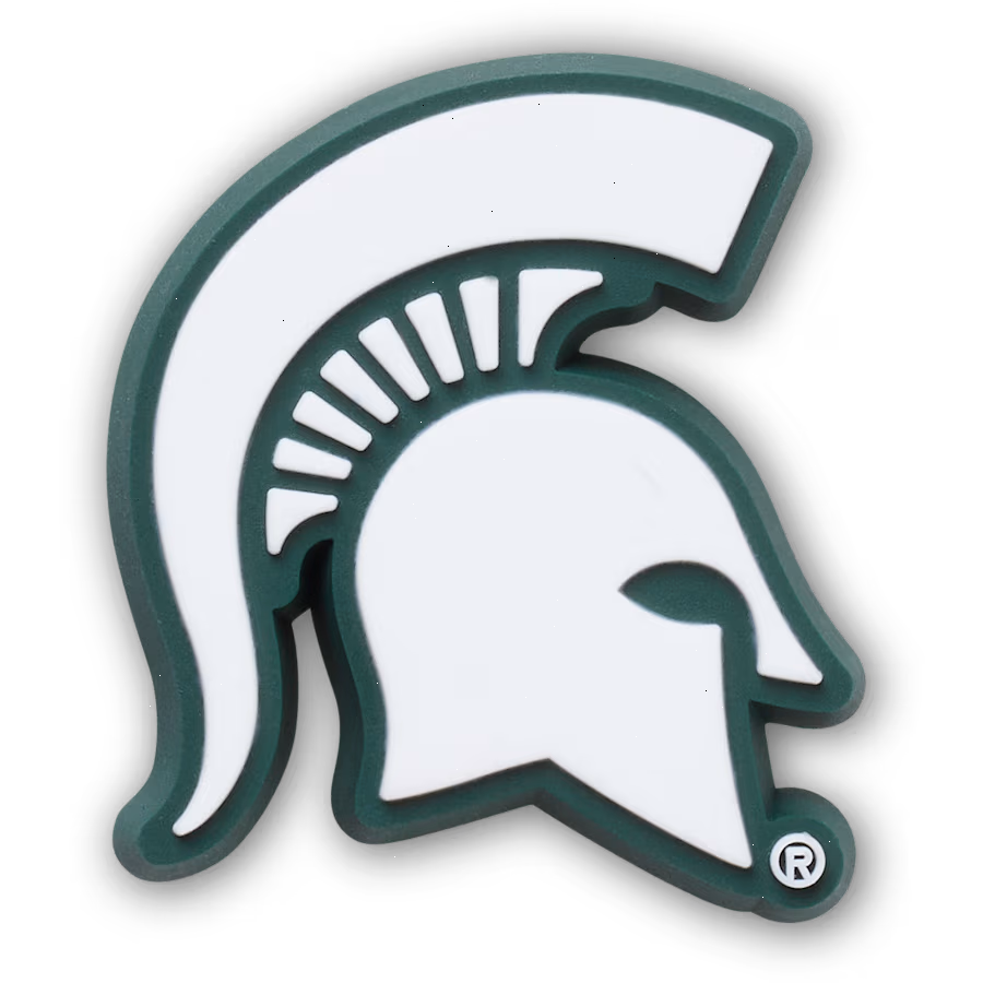 Michigan State University