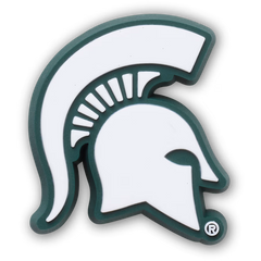 Michigan State University