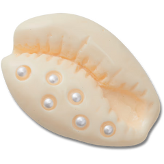 Pearl Puka Shell