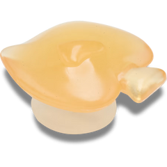 Orange Fishie