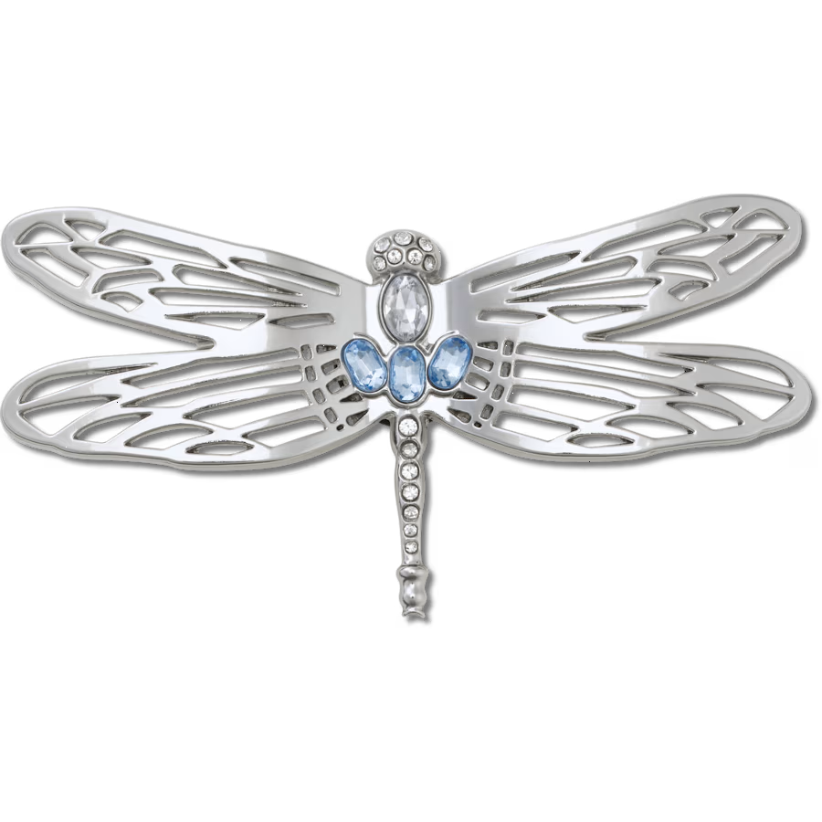 Silver Dragonfly