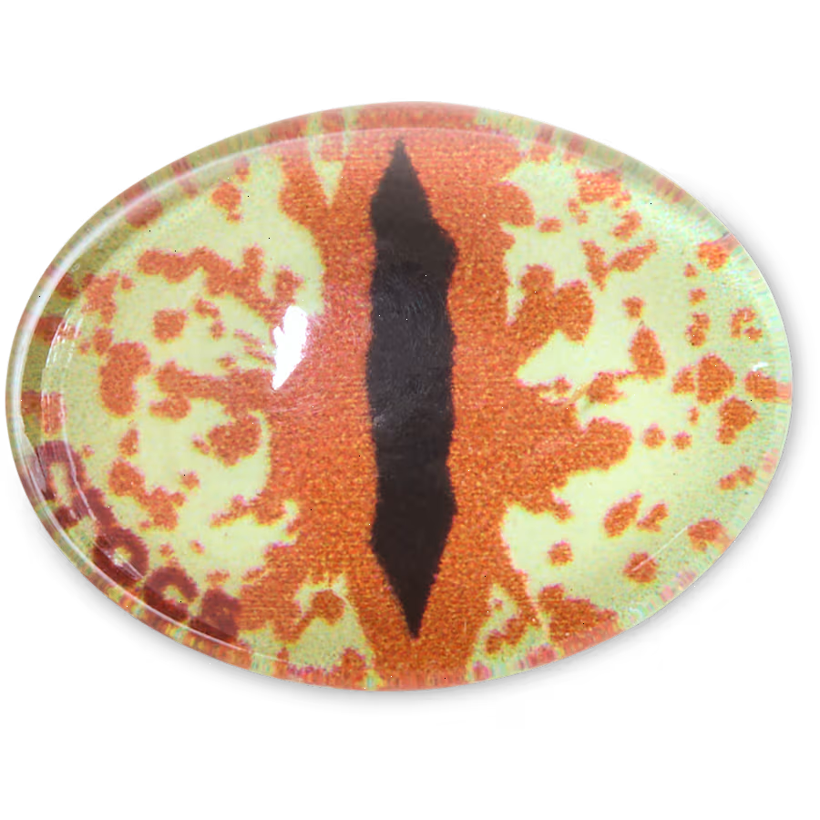 Hazel Animal Eye