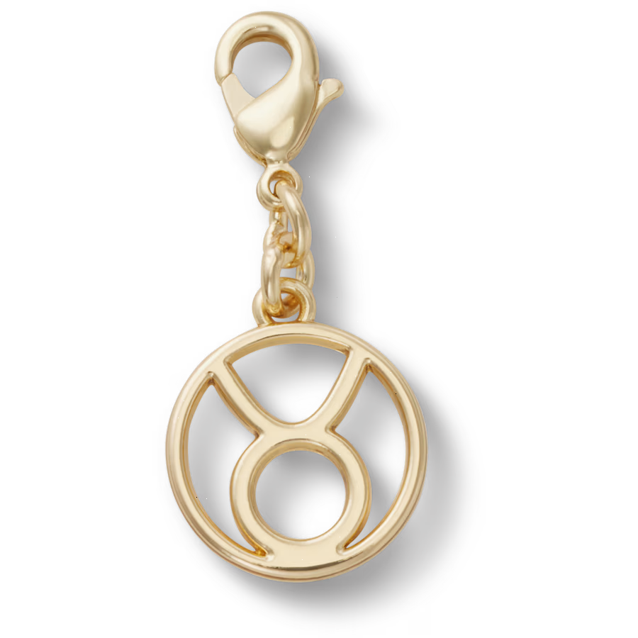 Taurus Charm