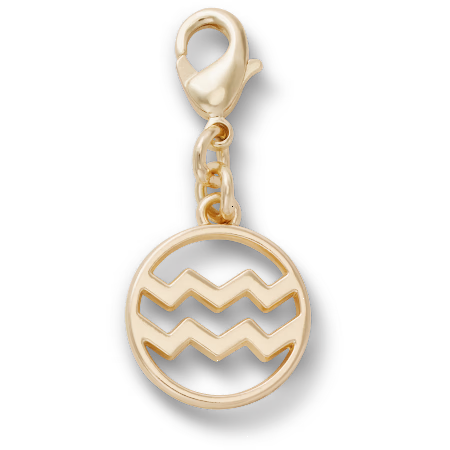 Aquarius Charm