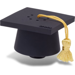 RecordYourOwnSoundGraduation
