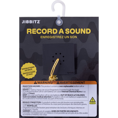 RecordYourOwnSoundGraduation