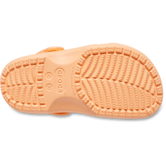 Toddler Classic Clog